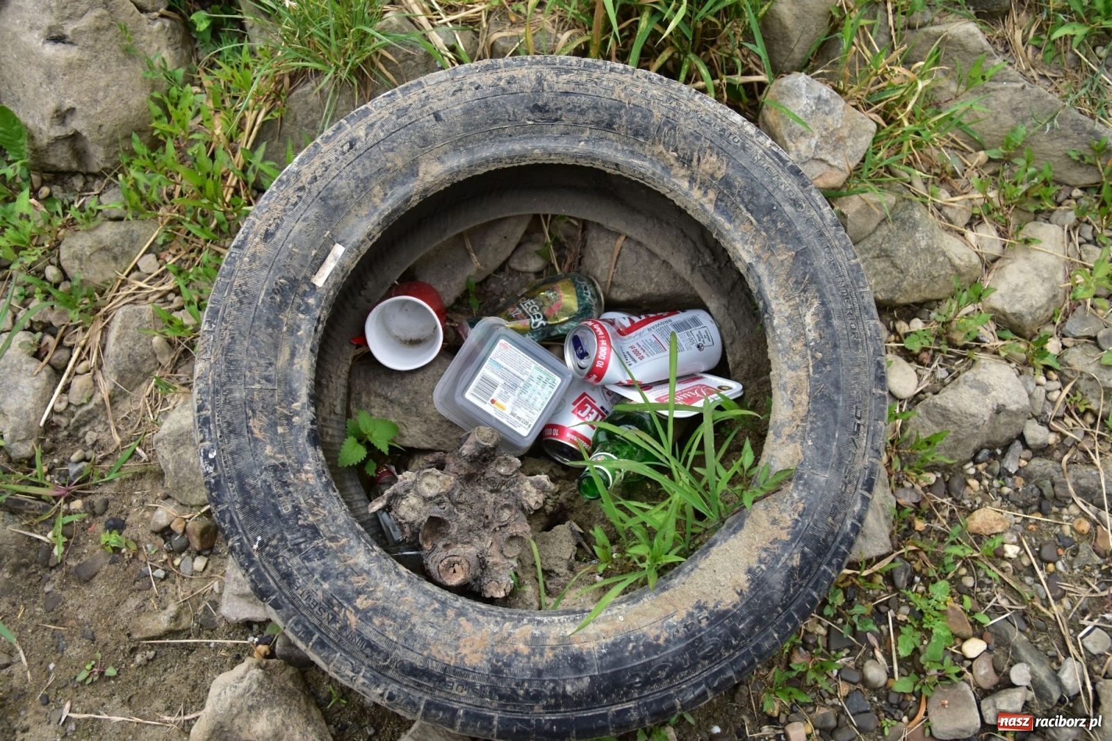 Zdjęcie w galerii na portalu naszraciborz.pl: Państwowa Służba Hydrologiczna ostrzega przed niżówką. Groźba niedoborów wody wiadomości z regionu