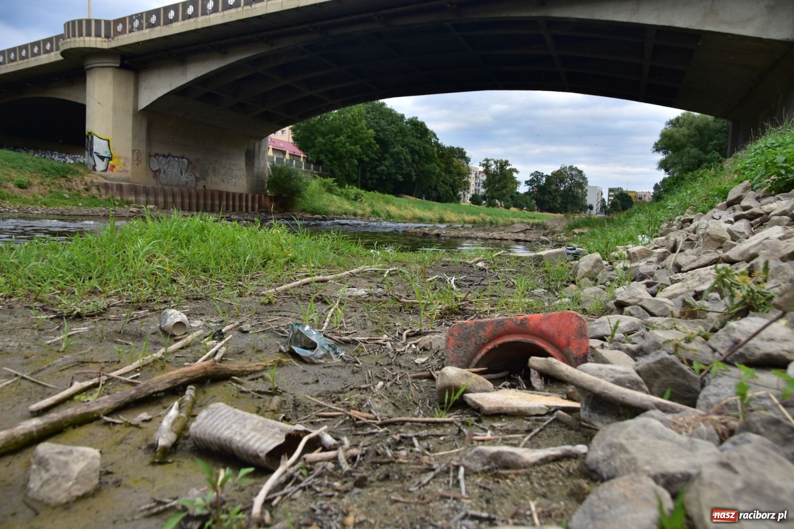 Zdjęcie w galerii na portalu naszraciborz.pl: Państwowa Służba Hydrologiczna ostrzega przed niżówką. Groźba niedoborów wody wiadomości z regionu