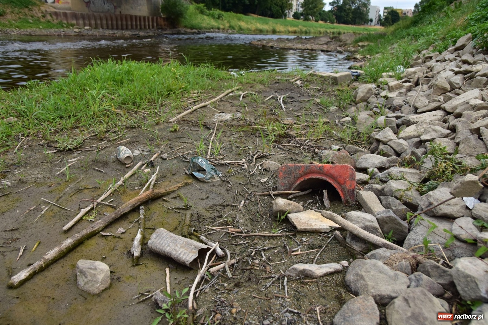 Zdjęcie w galerii na portalu naszraciborz.pl: Państwowa Służba Hydrologiczna ostrzega przed niżówką. Groźba niedoborów wody wiadomości z regionu