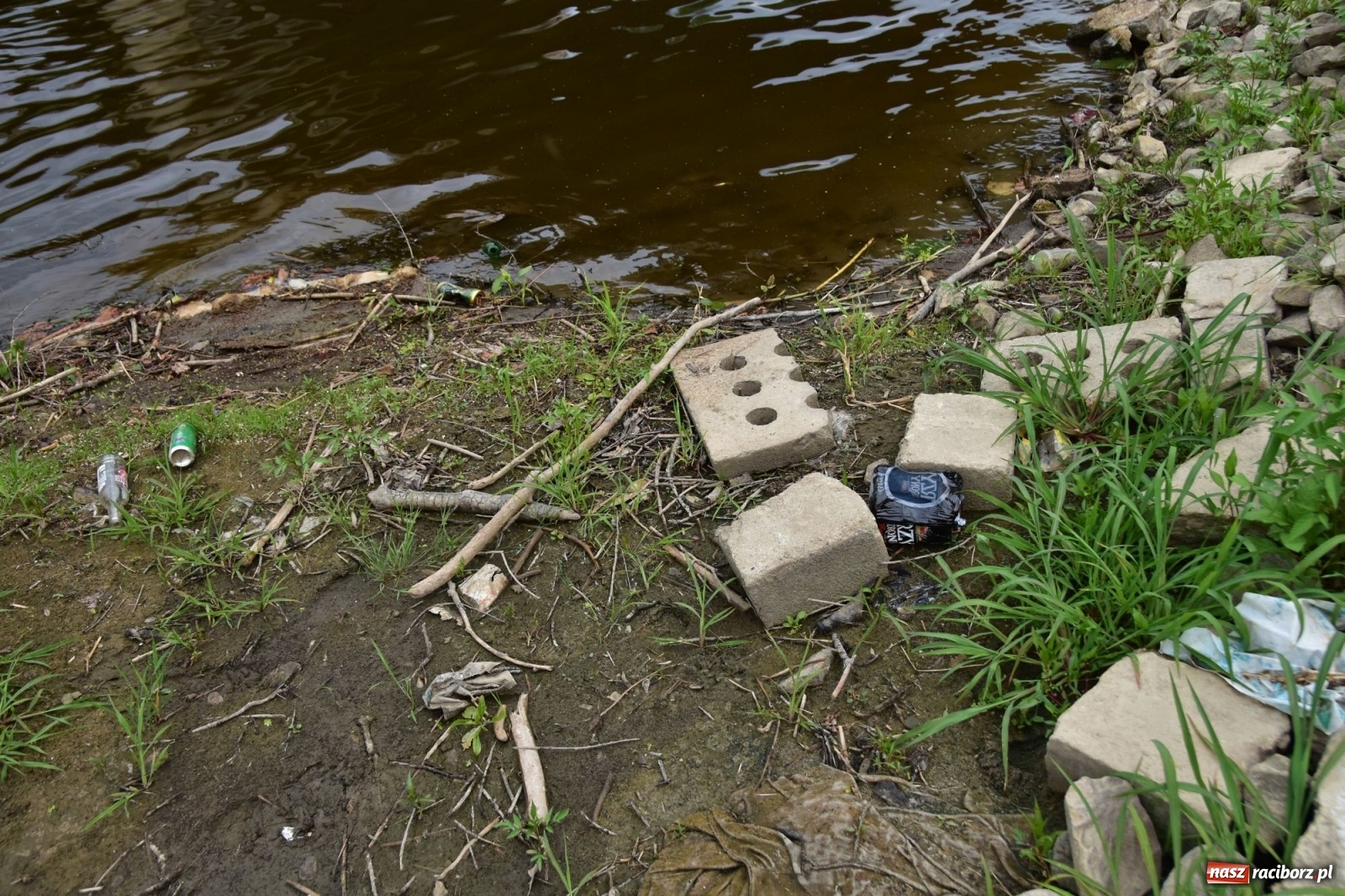 Zdjęcie w galerii na portalu naszraciborz.pl: Państwowa Służba Hydrologiczna ostrzega przed niżówką. Groźba niedoborów wody wiadomości z regionu