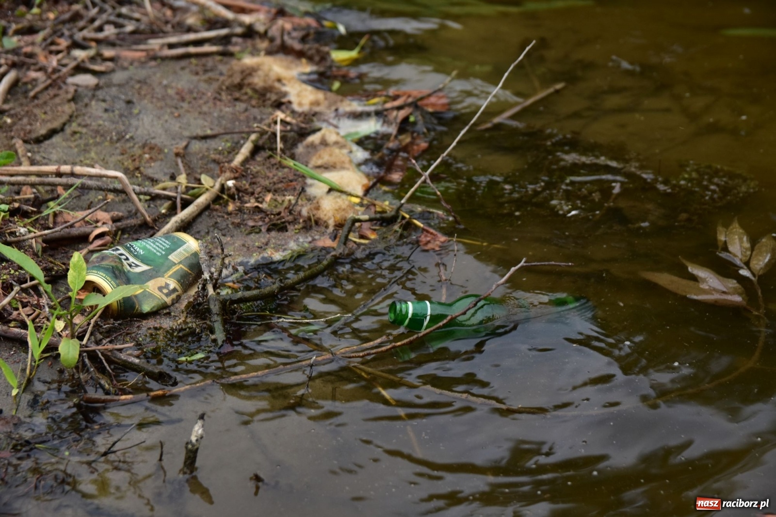 Zdjęcie w galerii na portalu naszraciborz.pl: Państwowa Służba Hydrologiczna ostrzega przed niżówką. Groźba niedoborów wody wiadomości z regionu