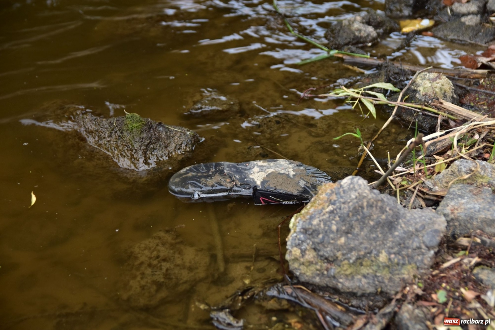 Zdjęcie w galerii na portalu naszraciborz.pl: Państwowa Służba Hydrologiczna ostrzega przed niżówką. Groźba niedoborów wody wiadomości z regionu