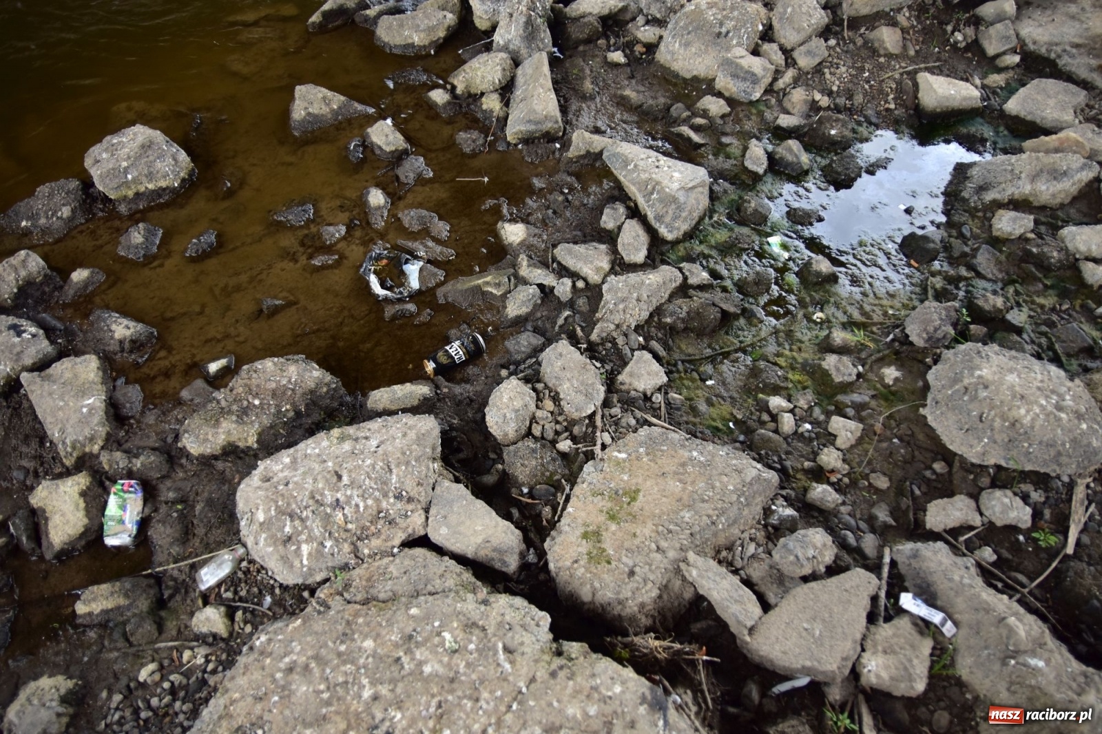 Zdjęcie w galerii na portalu naszraciborz.pl: Państwowa Służba Hydrologiczna ostrzega przed niżówką. Groźba niedoborów wody wiadomości z regionu
