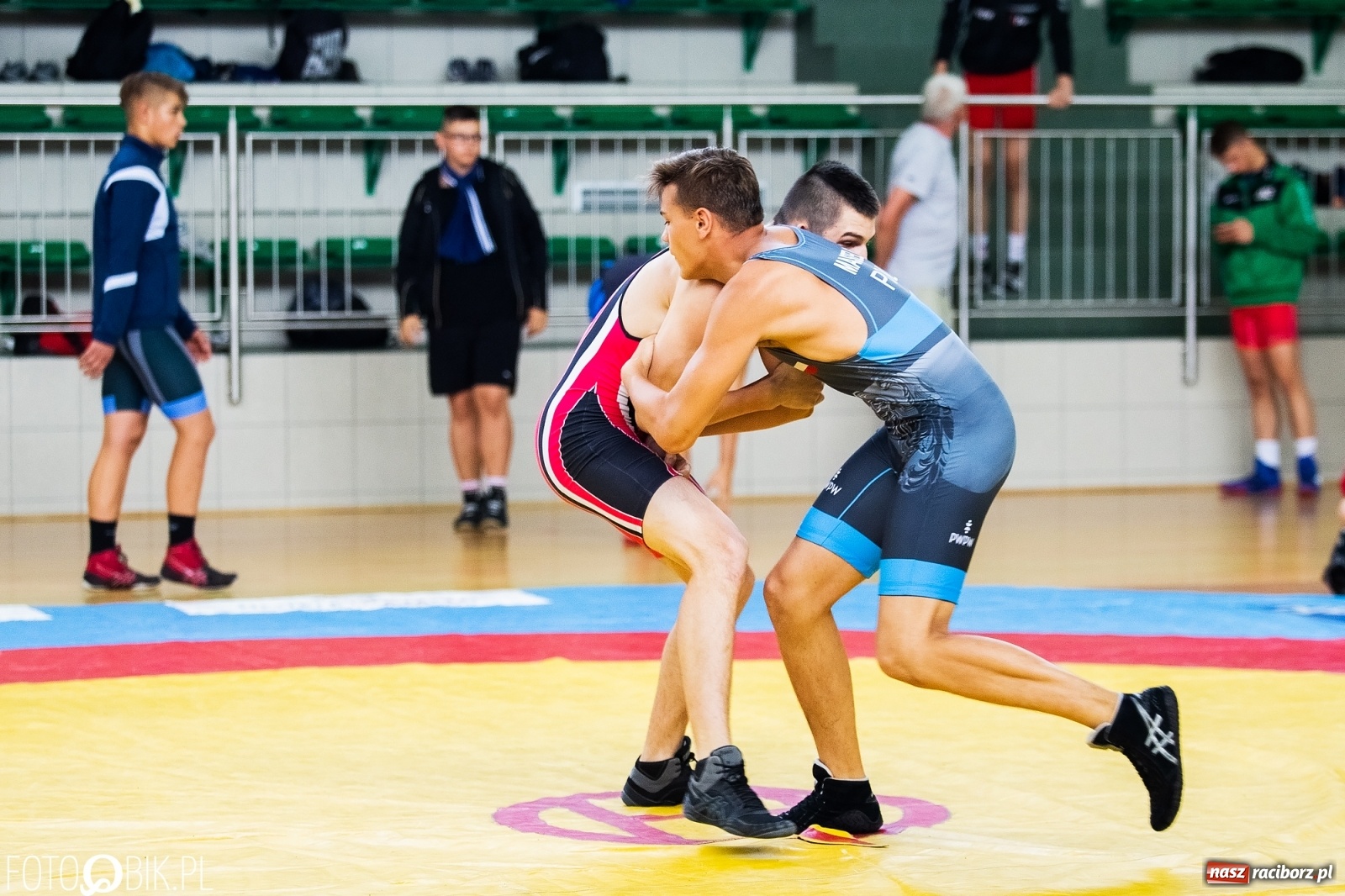 Zdjęcie w galerii na portalu naszraciborz.pl: W Arenie Rafako trwają Mistrzostwa Polski w zapasach wiadomości z regionu