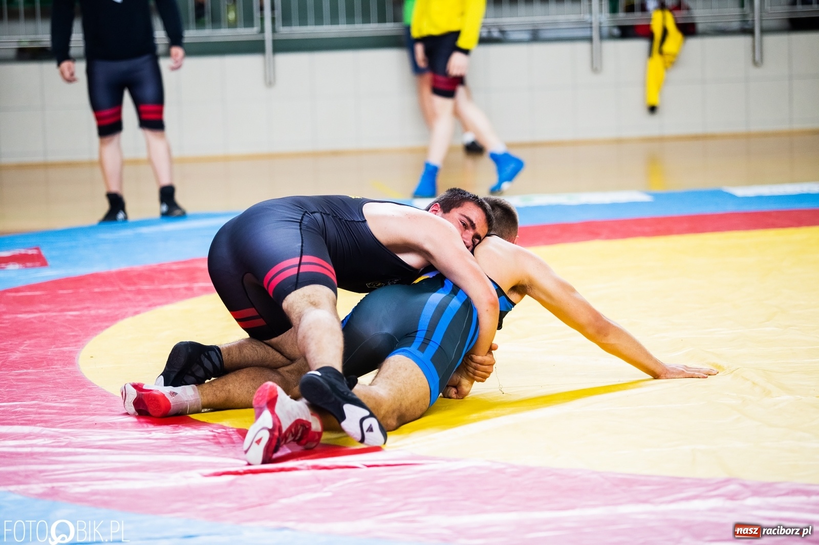 Zdjęcie w galerii na portalu naszraciborz.pl: W Arenie Rafako trwają Mistrzostwa Polski w zapasach wiadomości z regionu