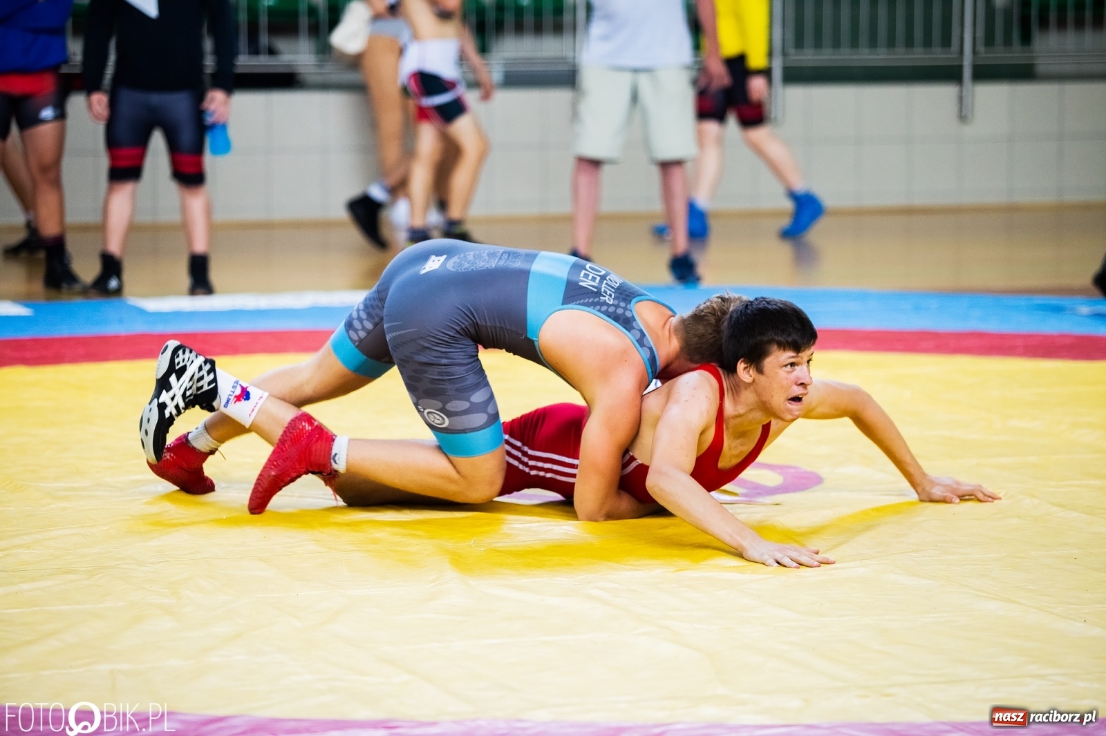 Zdjęcie w galerii na portalu naszraciborz.pl: W Arenie Rafako trwają Mistrzostwa Polski w zapasach wiadomości z regionu