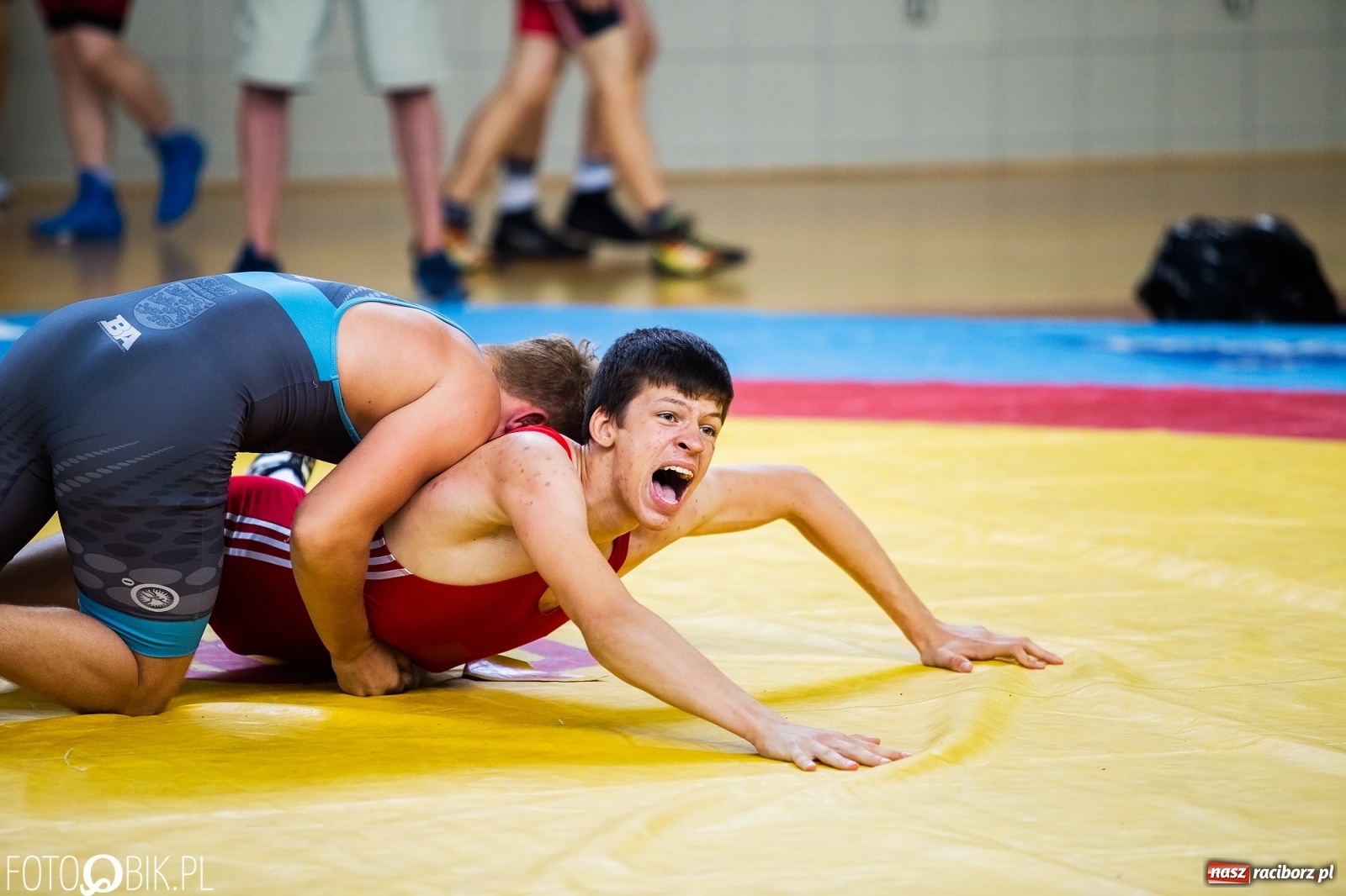 Zdjęcie w galerii na portalu naszraciborz.pl: W Arenie Rafako trwają Mistrzostwa Polski w zapasach wiadomości z regionu