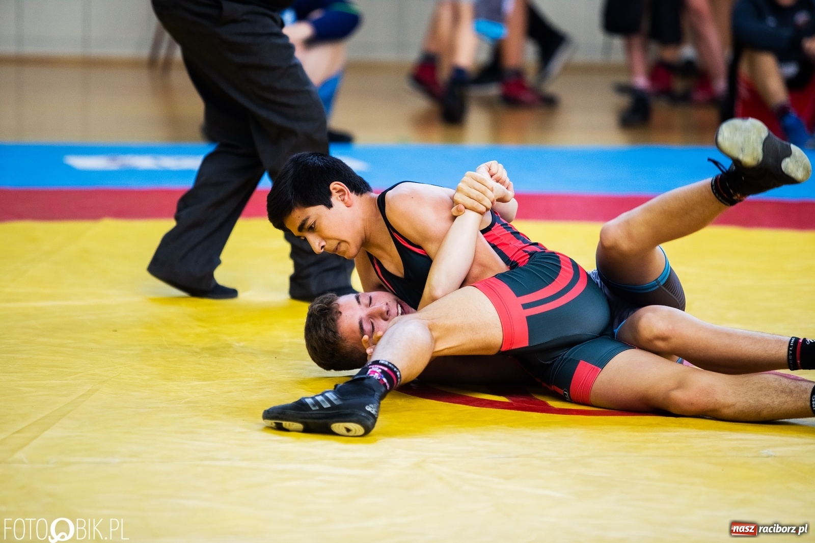 Zdjęcie w galerii na portalu naszraciborz.pl: W Arenie Rafako trwają Mistrzostwa Polski w zapasach wiadomości z regionu