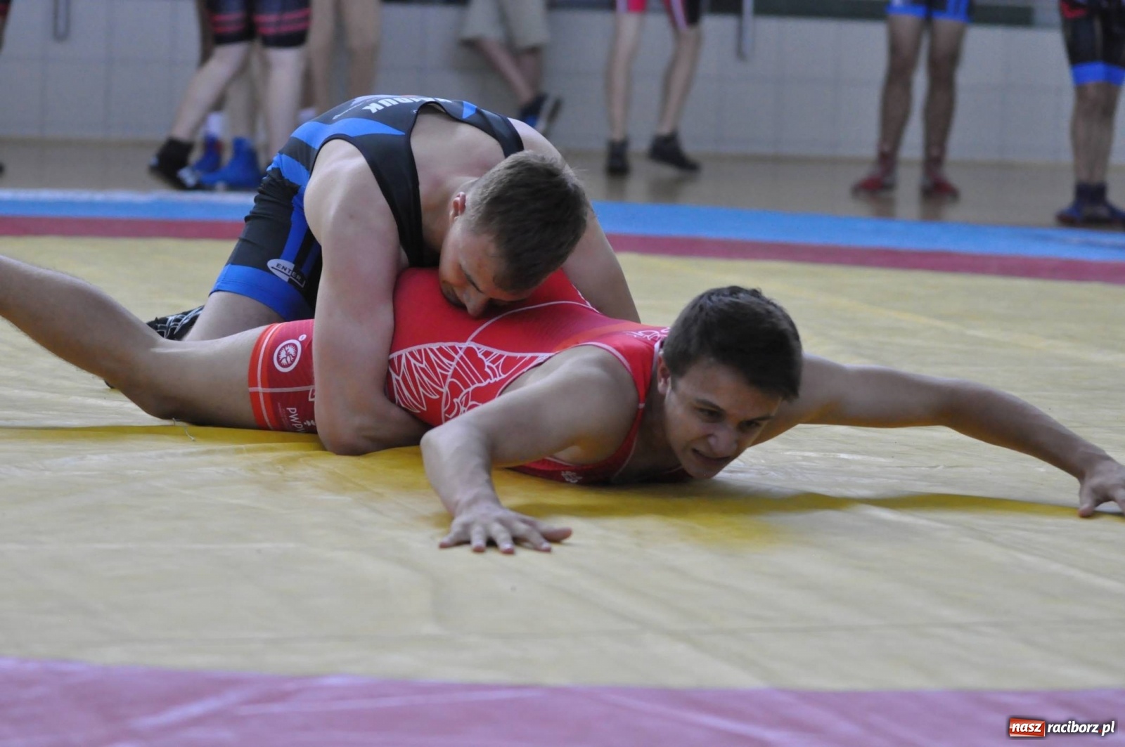 Zdjęcie w galerii na portalu naszraciborz.pl: W Arenie Rafako trwają Mistrzostwa Polski w zapasach wiadomości z regionu