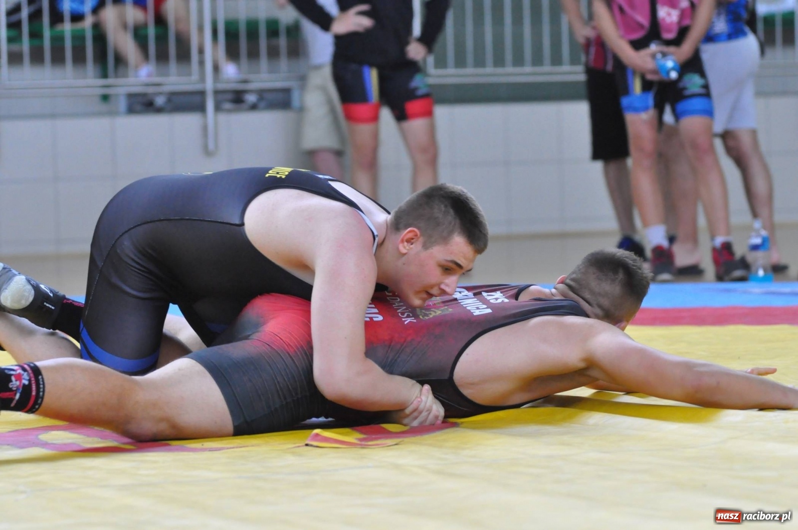 Zdjęcie w galerii na portalu naszraciborz.pl: W Arenie Rafako trwają Mistrzostwa Polski w zapasach wiadomości z regionu