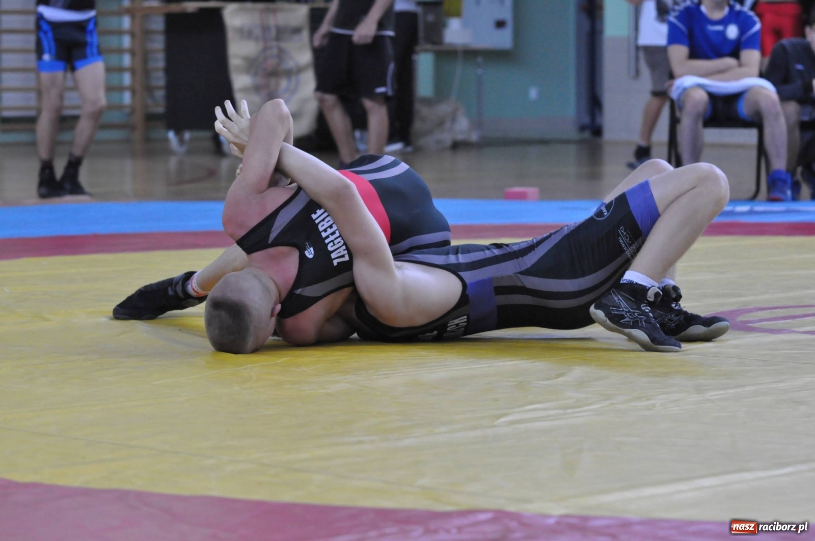 Zdjęcie w galerii na portalu naszraciborz.pl: W Arenie Rafako trwają Mistrzostwa Polski w zapasach wiadomości z regionu
