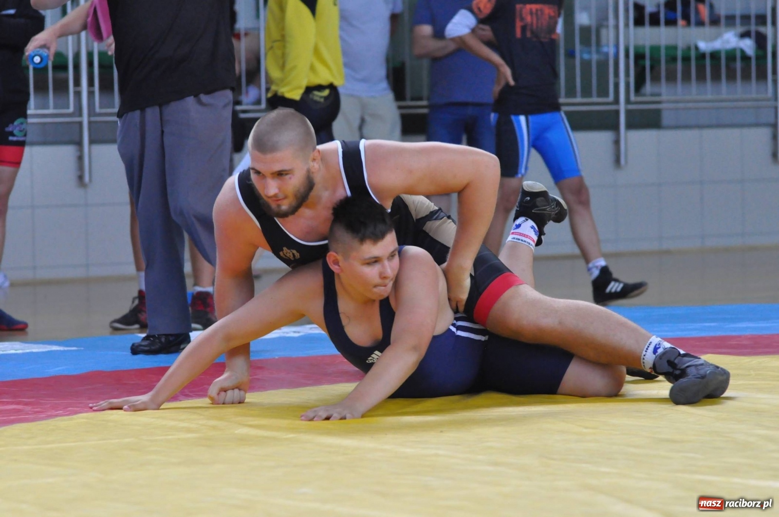Zdjęcie w galerii na portalu naszraciborz.pl: W Arenie Rafako trwają Mistrzostwa Polski w zapasach wiadomości z regionu