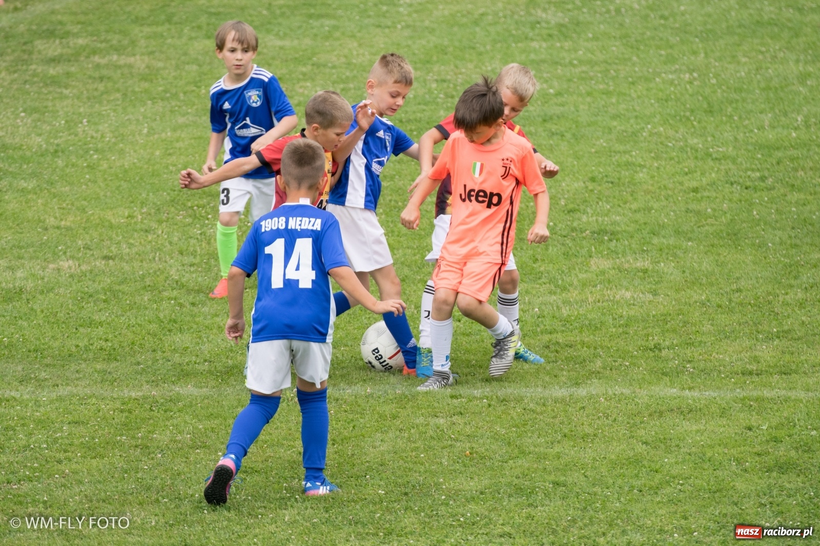 Zdjęcie w galerii na portalu naszraciborz.pl: Przeżyjmy to jeszcze raz. Górki Cup 2019 [WIDEO] wiadomości z regionu