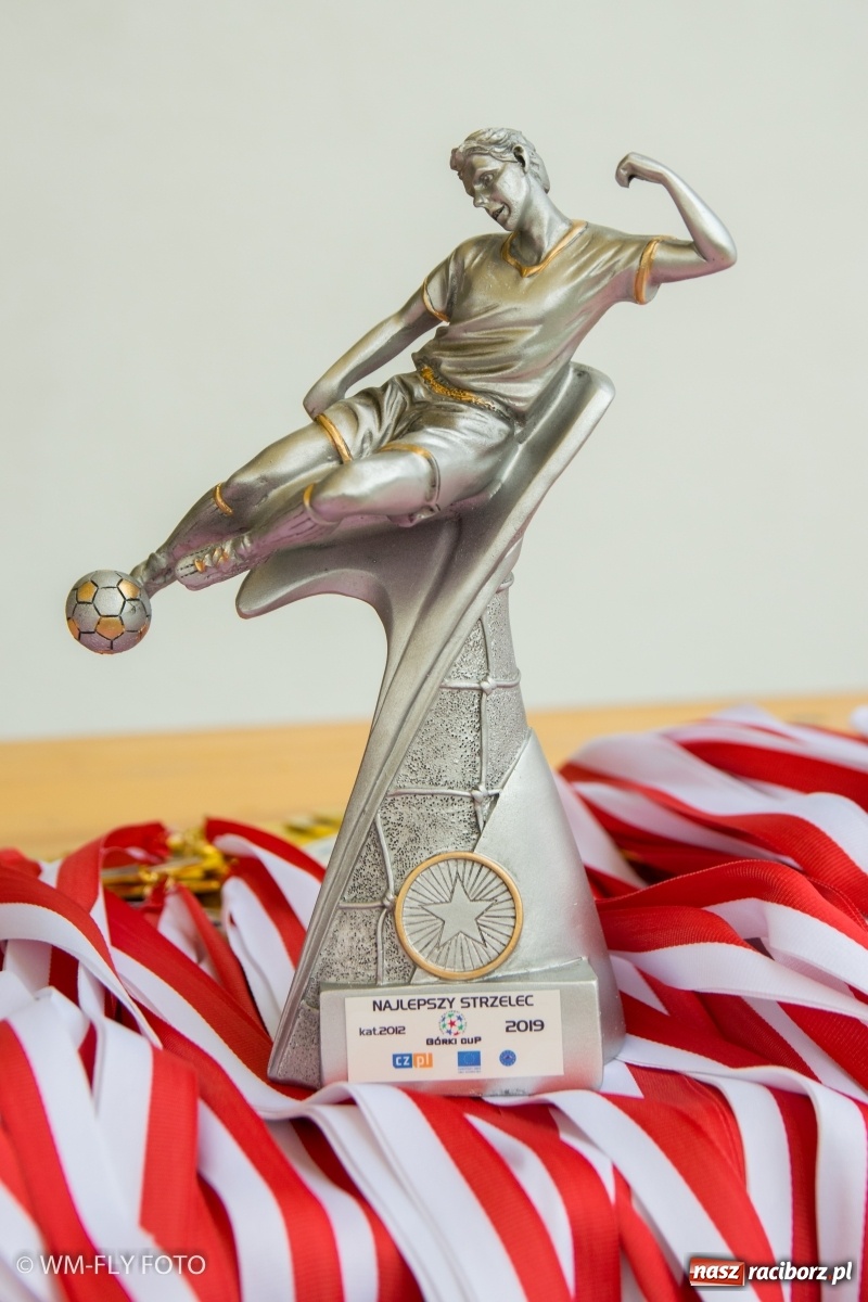 Zdjęcie w galerii na portalu naszraciborz.pl: Przeżyjmy to jeszcze raz. Górki Cup 2019 [WIDEO] wiadomości z regionu