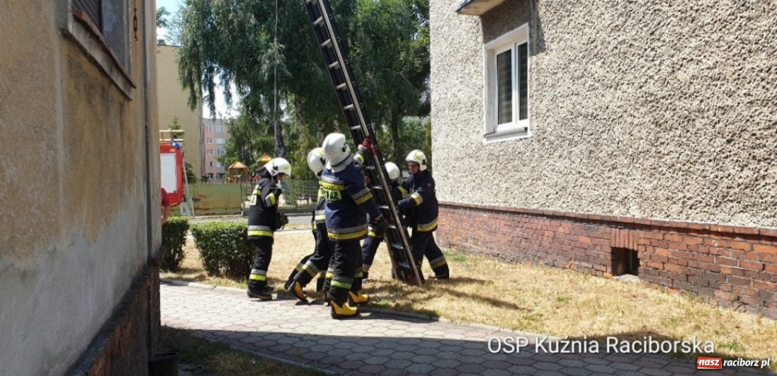 Zdjęcie w galerii na portalu naszraciborz.pl: W Kuźni Raciborskiej uratowali jerzyka. Coraz więcej miast zaprasza te ptaki  wiadomości z regionu