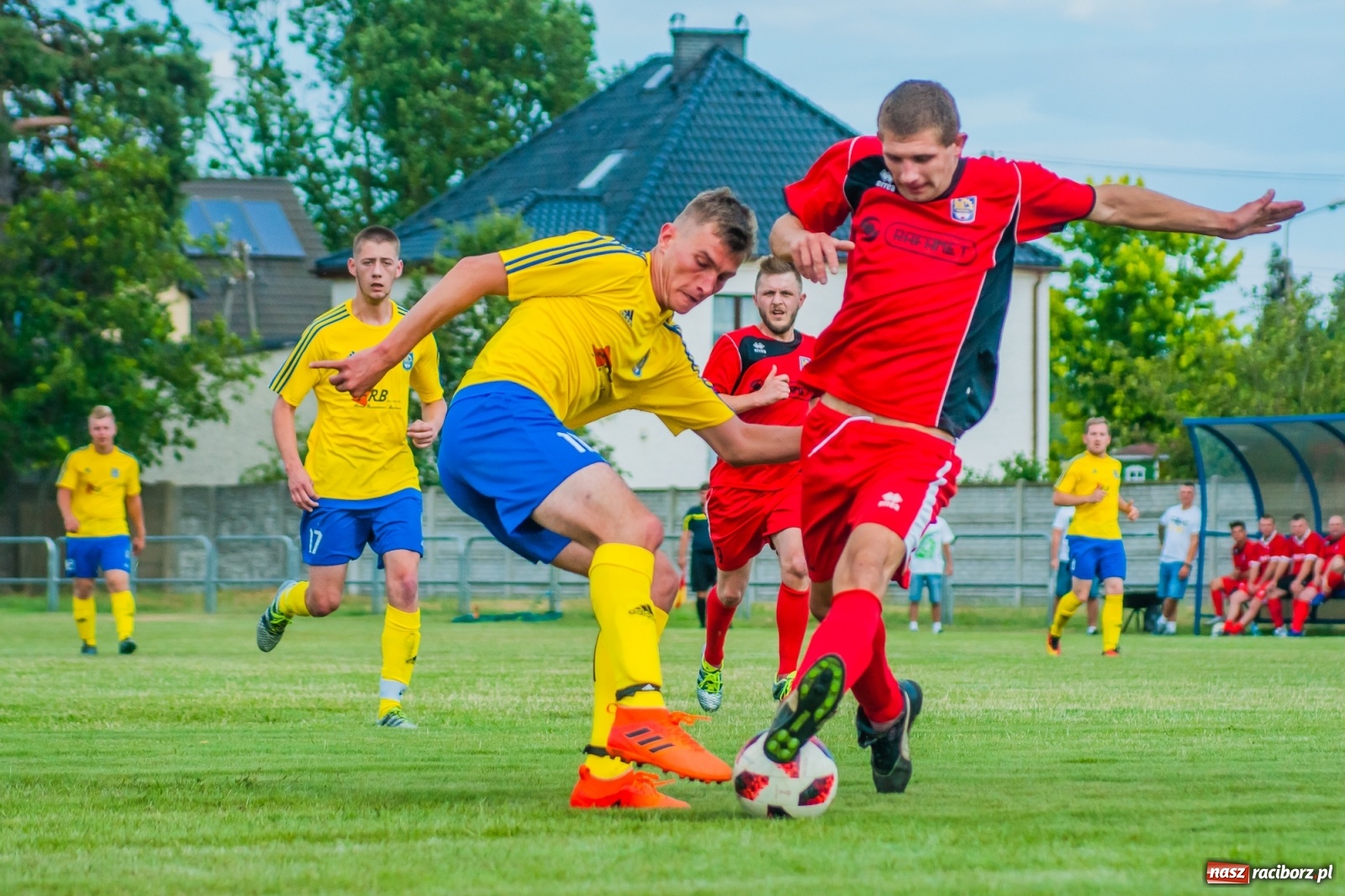 Zdjęcie w galerii na portalu naszraciborz.pl: Fani Stali pokonali swych idoli [FOTO] wiadomości z regionu