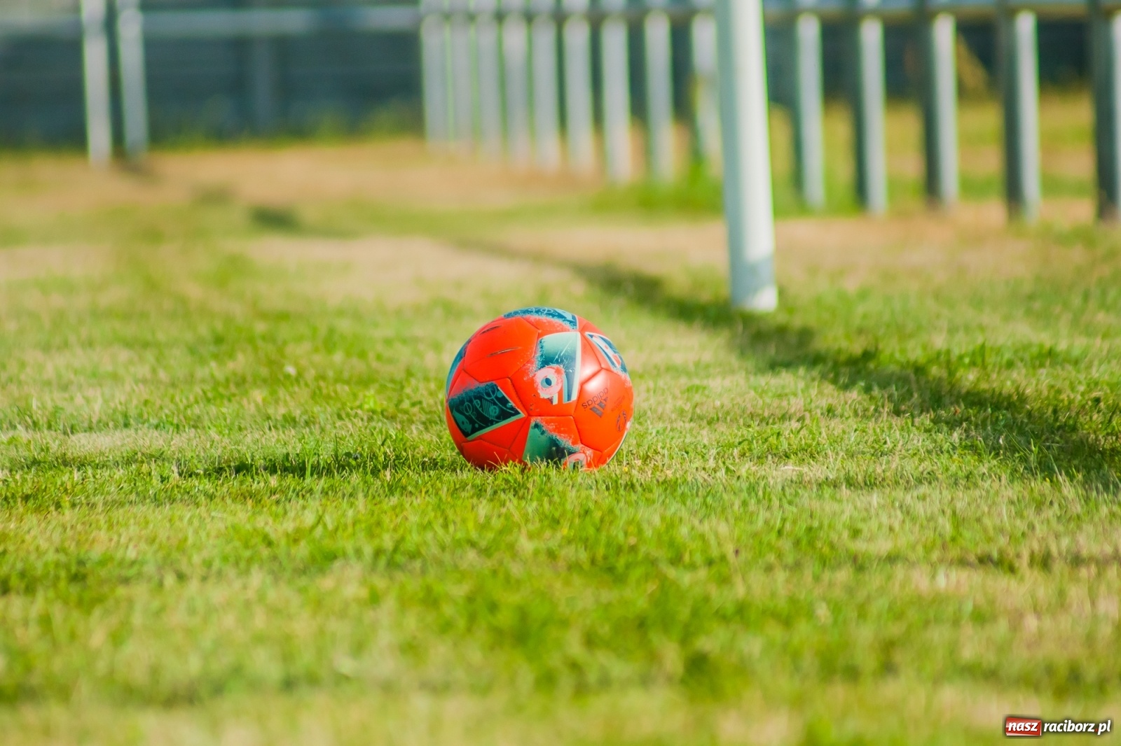 Zdjęcie w galerii na portalu naszraciborz.pl: Fani Stali pokonali swych idoli [FOTO] wiadomości z regionu