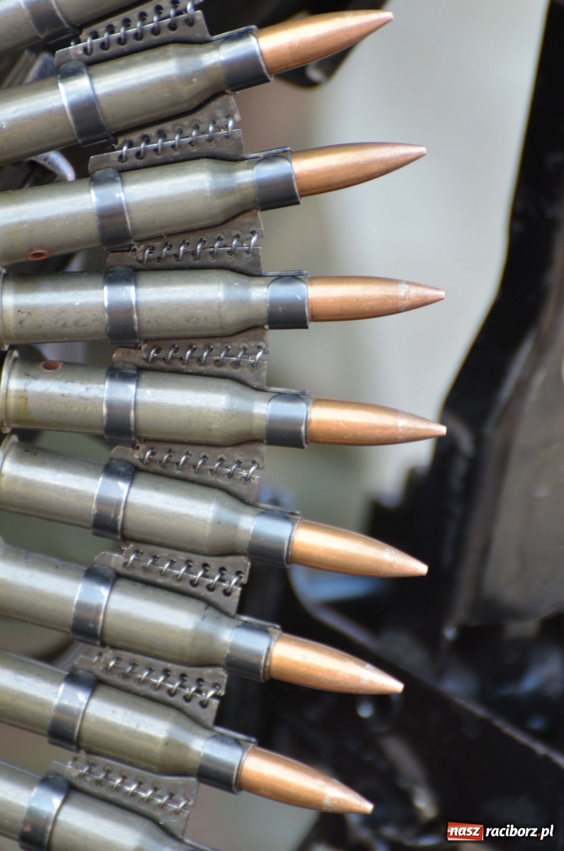 Zdjęcie w galerii na portalu naszraciborz.pl: Pomiędzy piknikiem a historią. Czy Piłsudski rzeczywiście był w Raciborzu? wiadomości z regionu