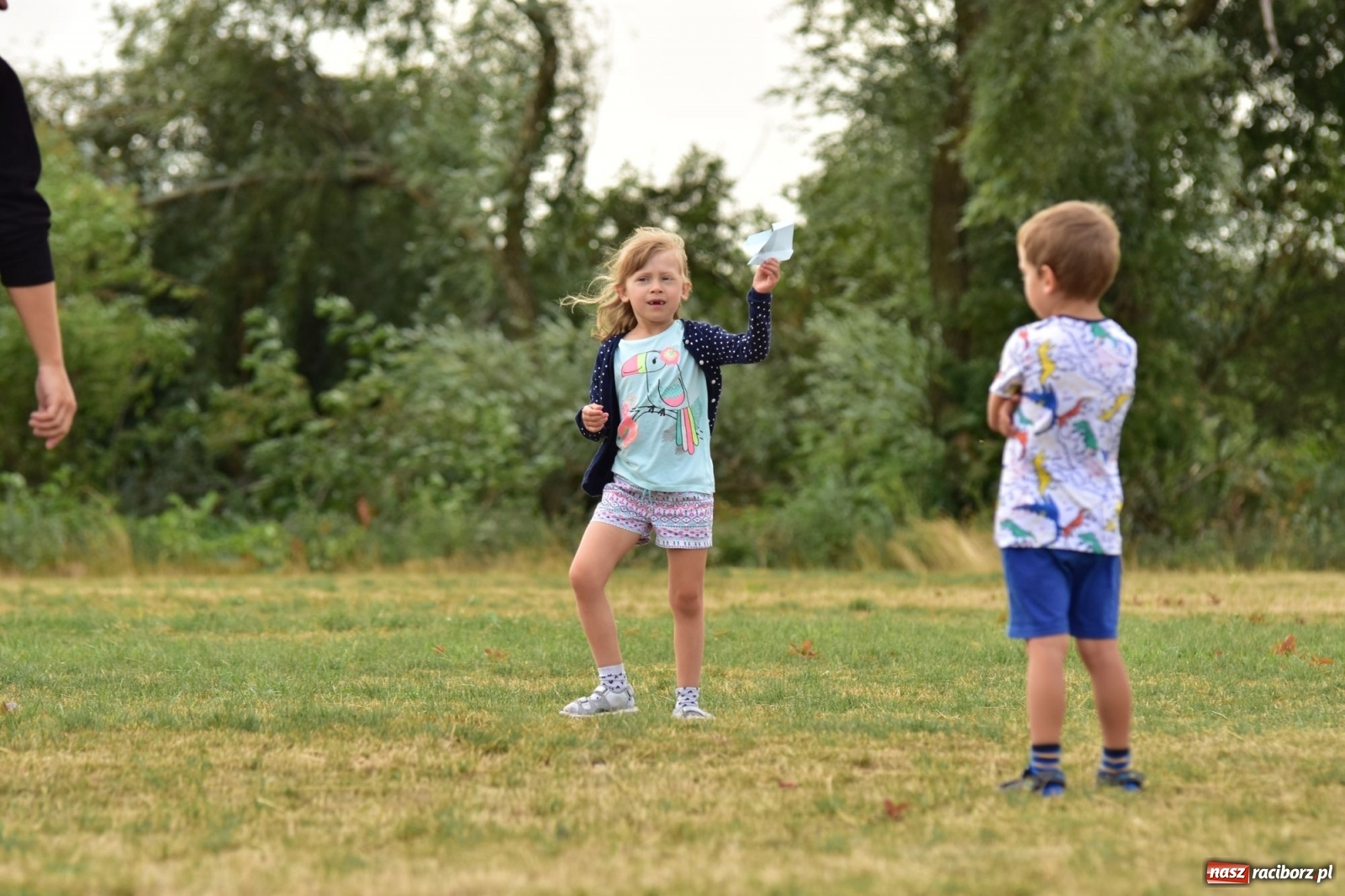 Zdjęcie w galerii na portalu naszraciborz.pl: Papierowe samoloty wzbiły się do nieba [FOTO] wiadomości z regionu