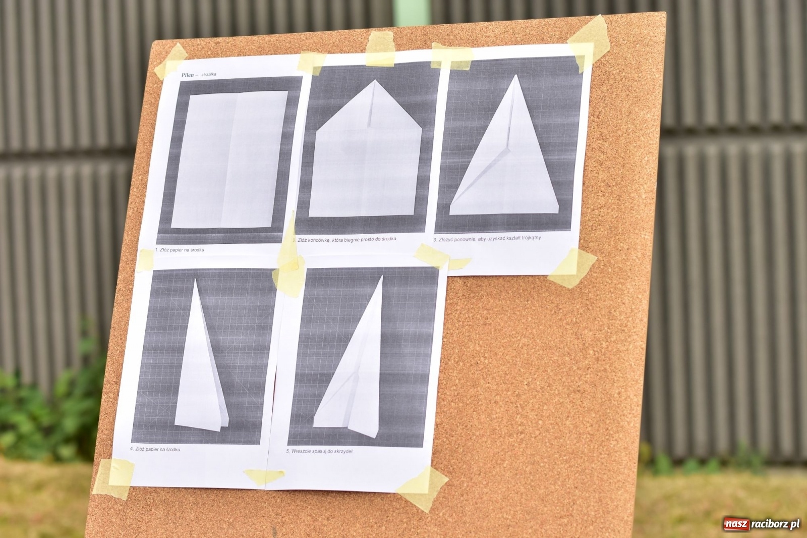 Zdjęcie w galerii na portalu naszraciborz.pl: Papierowe samoloty wzbiły się do nieba [FOTO] wiadomości z regionu