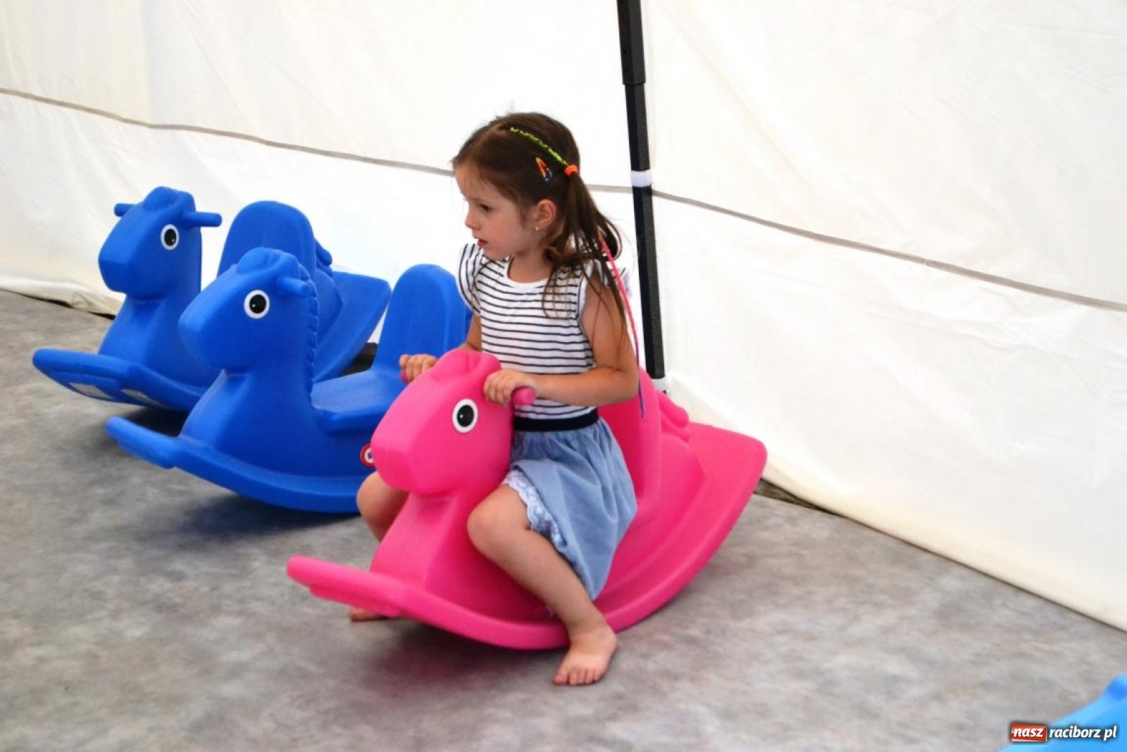 Zdjęcie w galerii na portalu naszraciborz.pl: Artyści RCK na miejskich obchodach Roku Powstań Śląskich [FOTO] wiadomości z regionu