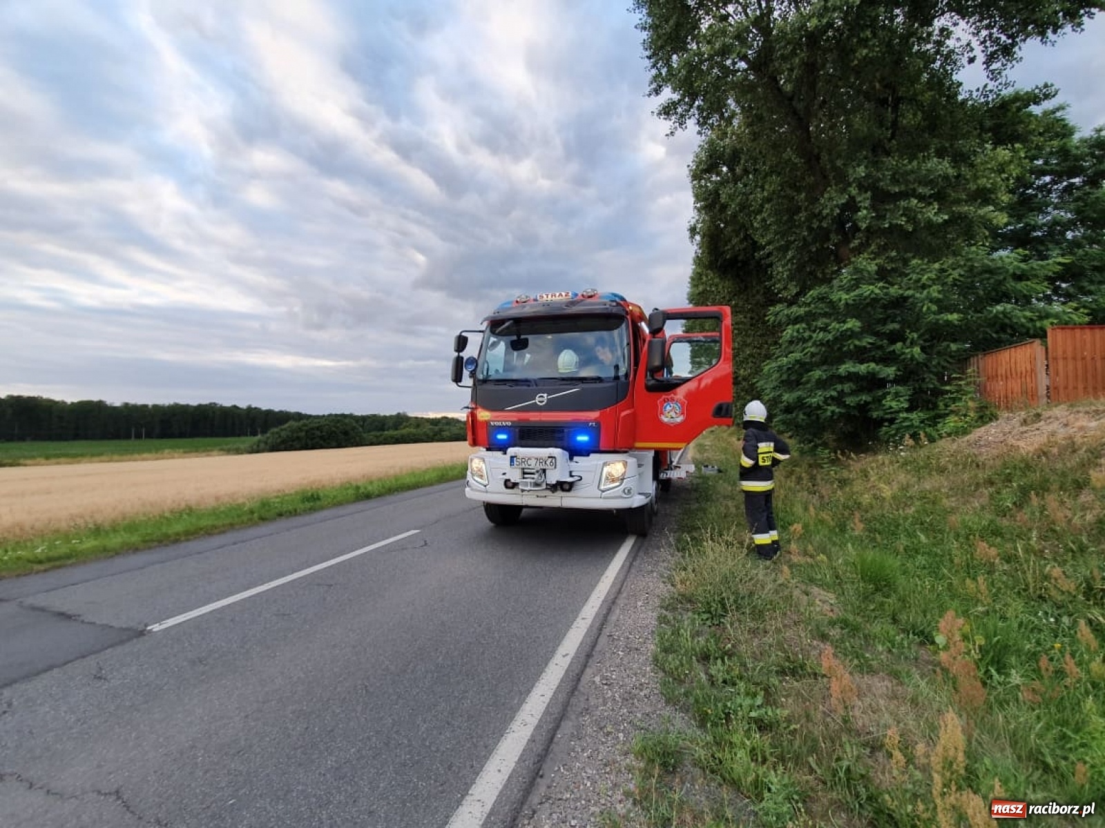 Zdjęcie w galerii na portalu naszraciborz.pl: Czad, zwisająca gałąź i owady. Raport 998 wiadomości z regionu