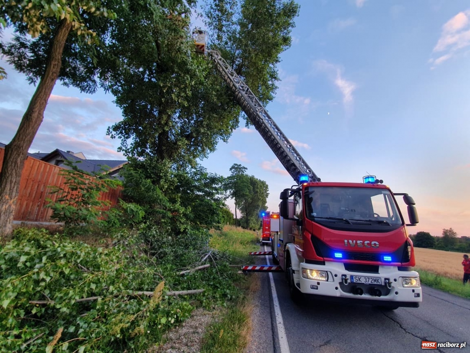 Zdjęcie w galerii na portalu naszraciborz.pl: Czad, zwisająca gałąź i owady. Raport 998 wiadomości z regionu