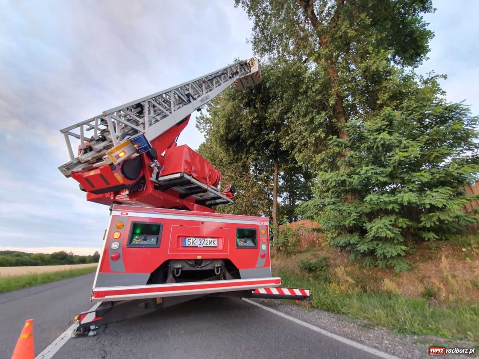 Zdjęcie w galerii na portalu naszraciborz.pl: Czad, zwisająca gałąź i owady. Raport 998 wiadomości z regionu
