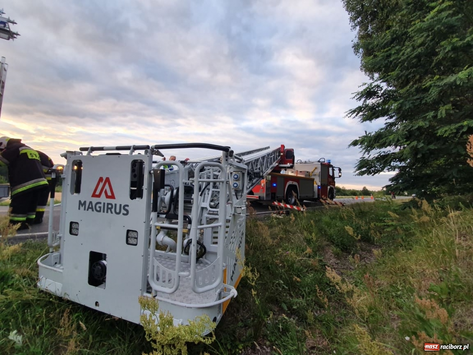 Zdjęcie w galerii na portalu naszraciborz.pl: Czad, zwisająca gałąź i owady. Raport 998 wiadomości z regionu