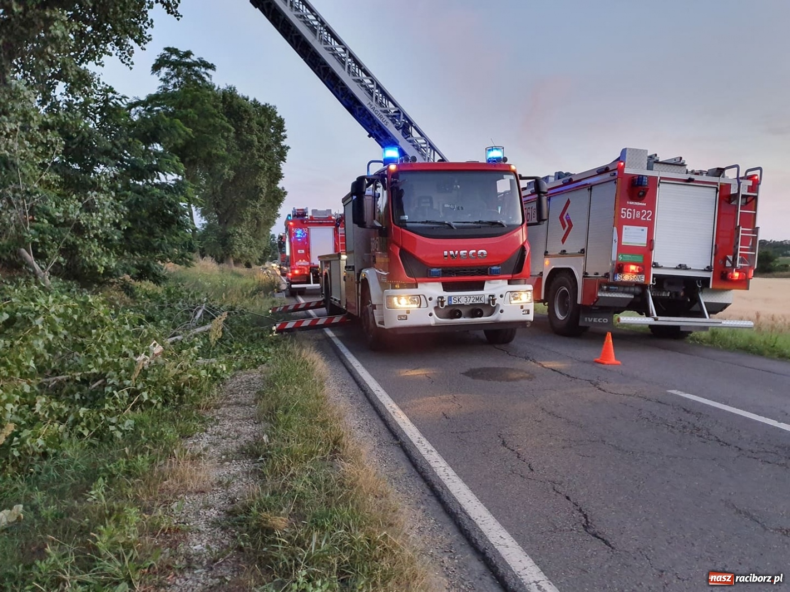 Zdjęcie w galerii na portalu naszraciborz.pl: Czad, zwisająca gałąź i owady. Raport 998 wiadomości z regionu