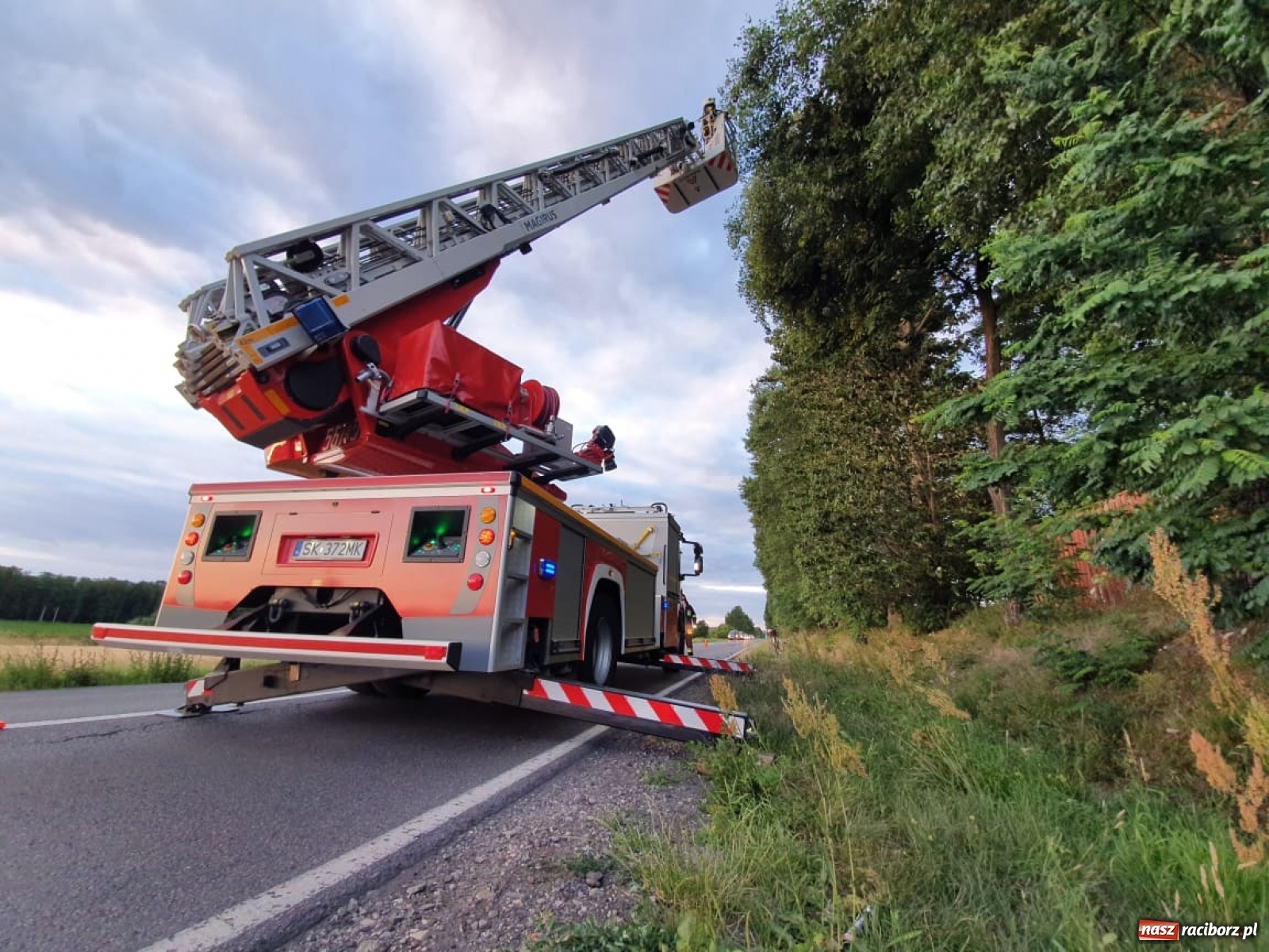 Zdjęcie w galerii na portalu naszraciborz.pl: Czad, zwisająca gałąź i owady. Raport 998 wiadomości z regionu