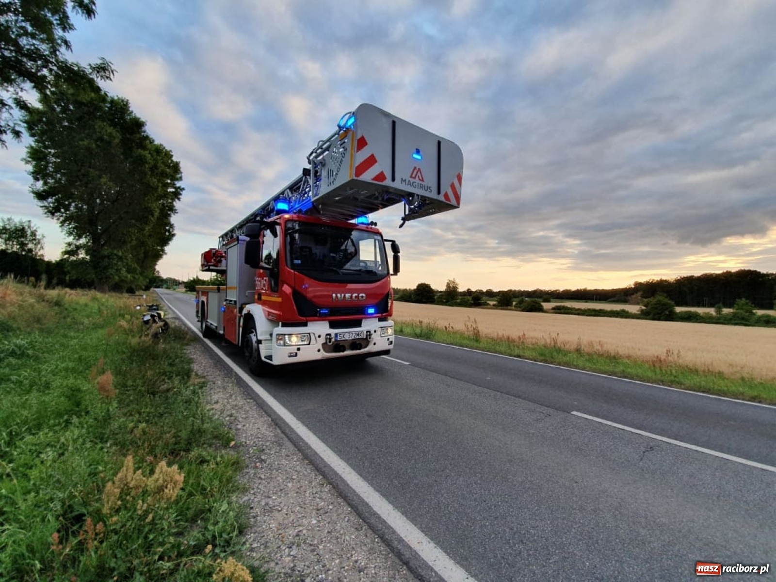 Zdjęcie w galerii na portalu naszraciborz.pl: Czad, zwisająca gałąź i owady. Raport 998 wiadomości z regionu