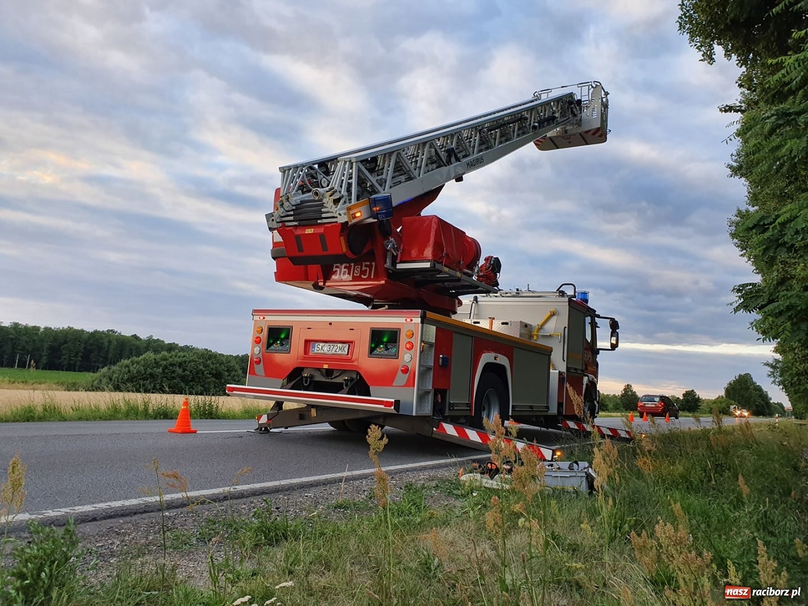 Zdjęcie w galerii na portalu naszraciborz.pl: Czad, zwisająca gałąź i owady. Raport 998 wiadomości z regionu
