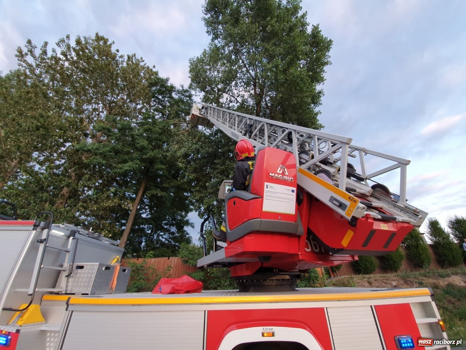 Zdjęcie w galerii na portalu naszraciborz.pl: Czad, zwisająca gałąź i owady. Raport 998 wiadomości z regionu