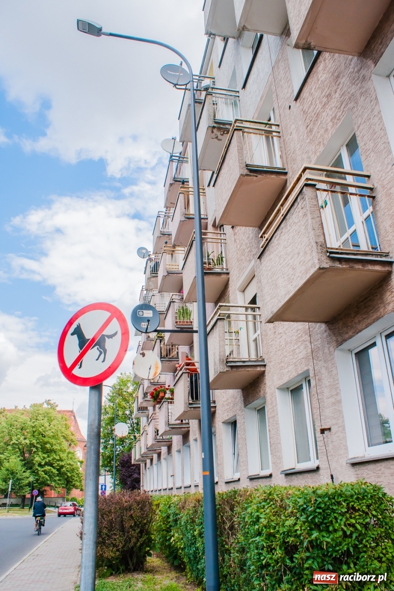 Zdjęcie w galerii na portalu naszraciborz.pl: Latarnie na chybił-trafił. Są ledy, brakuje ładu [FOTO] wiadomości z regionu