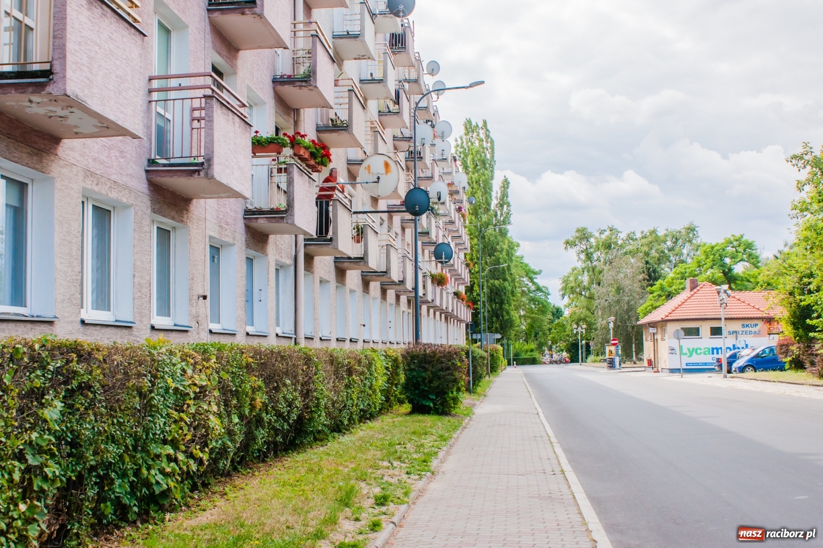 Zdjęcie w galerii na portalu naszraciborz.pl: Latarnie na chybił-trafił. Są ledy, brakuje ładu [FOTO] wiadomości z regionu