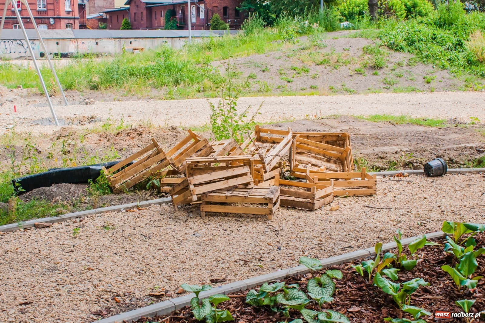 Zdjęcie w galerii na portalu naszraciborz.pl: Park Jordanowski zmienia swoje oblicze [FOTO]  wiadomości z regionu