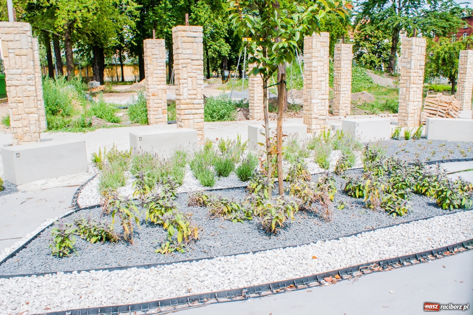 Zdjęcie w galerii na portalu naszraciborz.pl: Park Jordanowski zmienia swoje oblicze [FOTO]  wiadomości z regionu