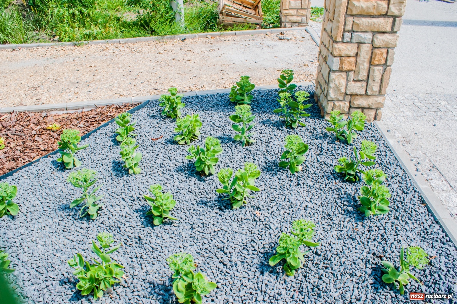 Zdjęcie w galerii na portalu naszraciborz.pl: Park Jordanowski zmienia swoje oblicze [FOTO]  wiadomości z regionu