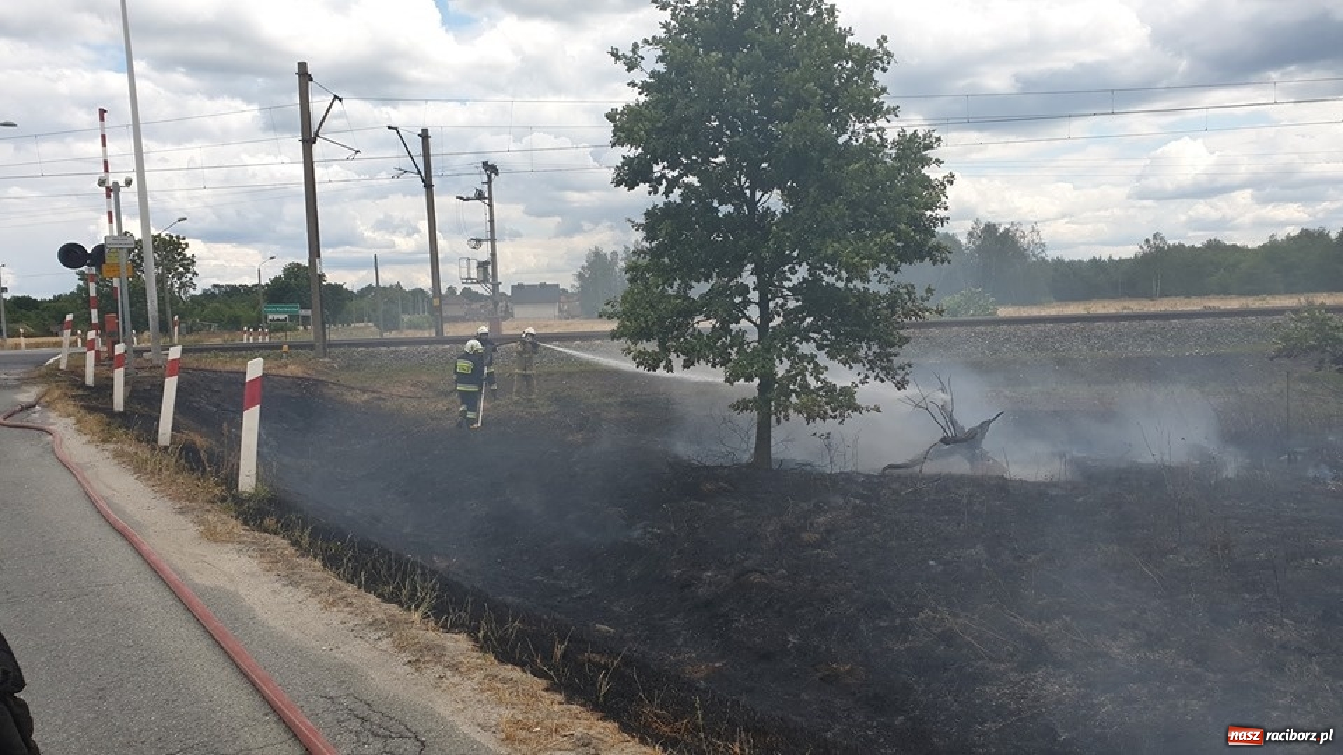 Zdjęcie w galerii na portalu naszraciborz.pl: Raport strażacki. Zalana piwnica w Kornowacu. W Siedliskach paliła się trawa wiadomości z regionu