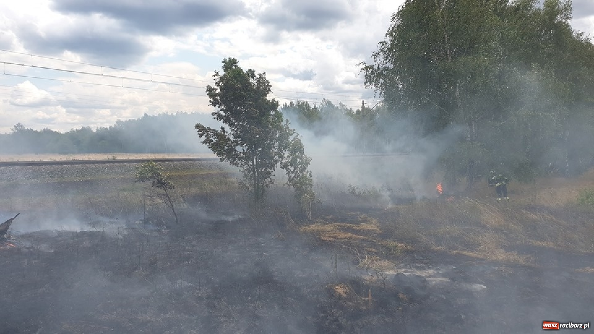 Zdjęcie w galerii na portalu naszraciborz.pl: Raport strażacki. Zalana piwnica w Kornowacu. W Siedliskach paliła się trawa wiadomości z regionu