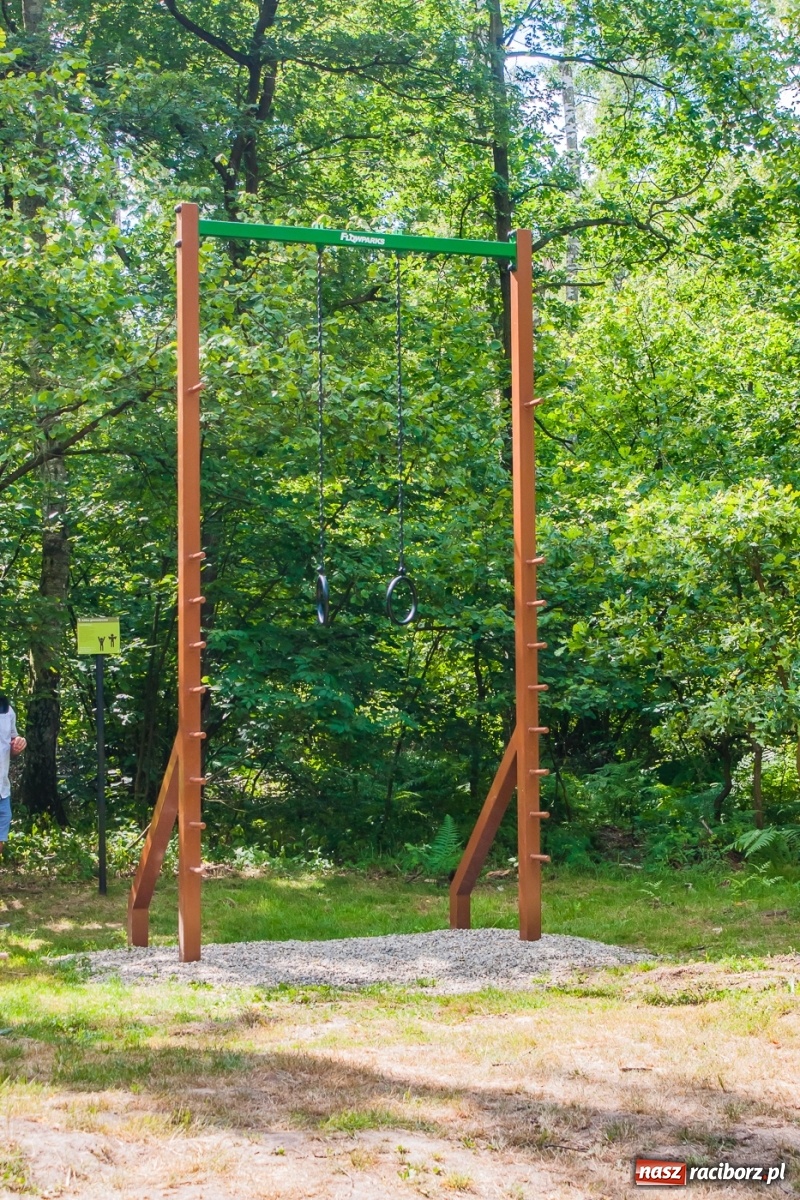 Zdjęcie w galerii na portalu naszraciborz.pl: Ścieżka zdrowia w Arboretum po rewitalizacji [FOTO i WIDEO] wiadomości z regionu