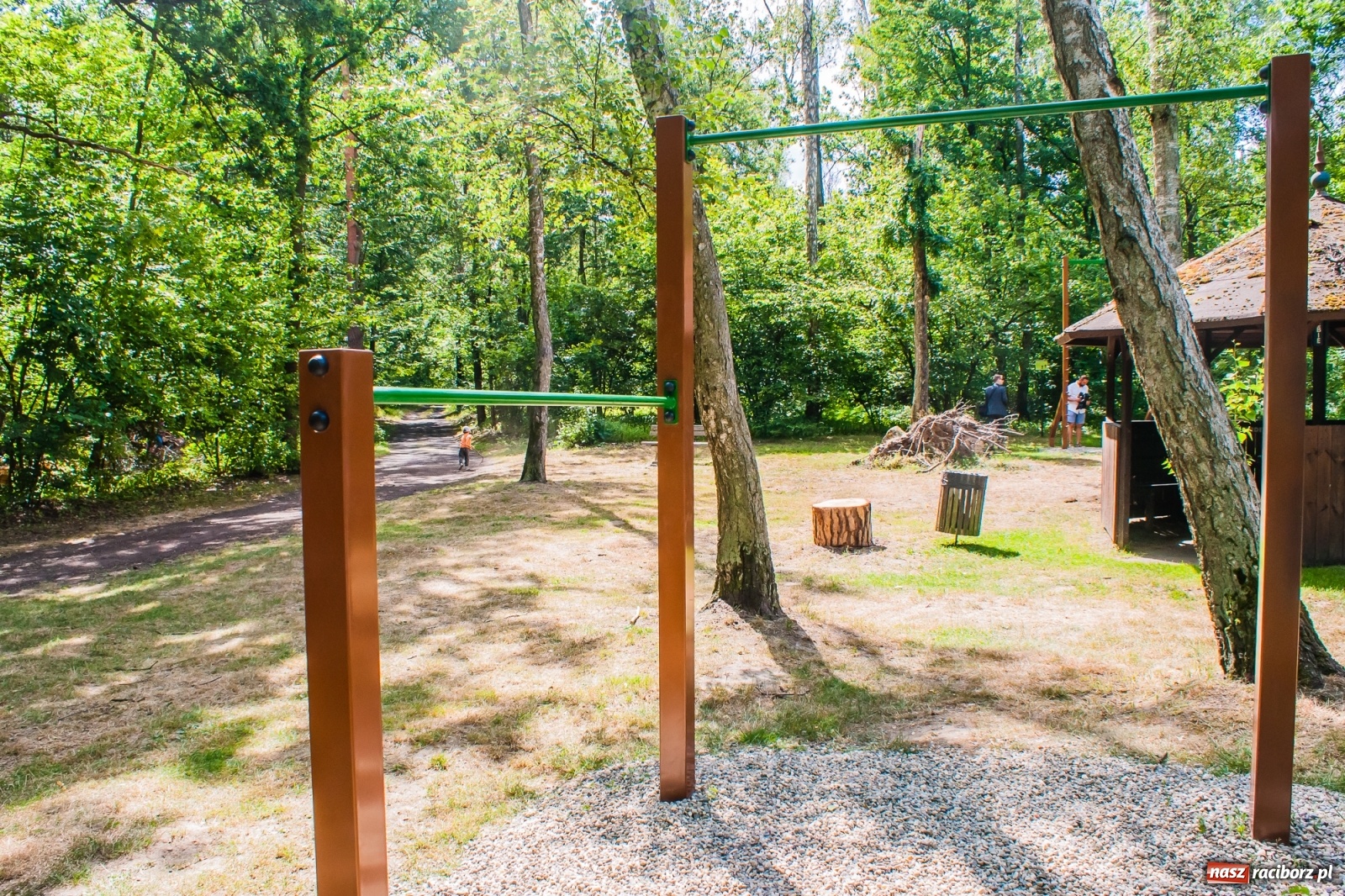 Zdjęcie w galerii na portalu naszraciborz.pl: Ścieżka zdrowia w Arboretum po rewitalizacji [FOTO i WIDEO] wiadomości z regionu