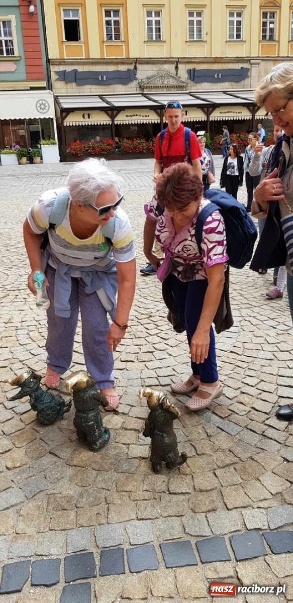 Zdjęcie w galerii na portalu naszraciborz.pl: Przyjaciele biblioteki z Ostroga z wizytą we Wrocławiu wiadomości z regionu
