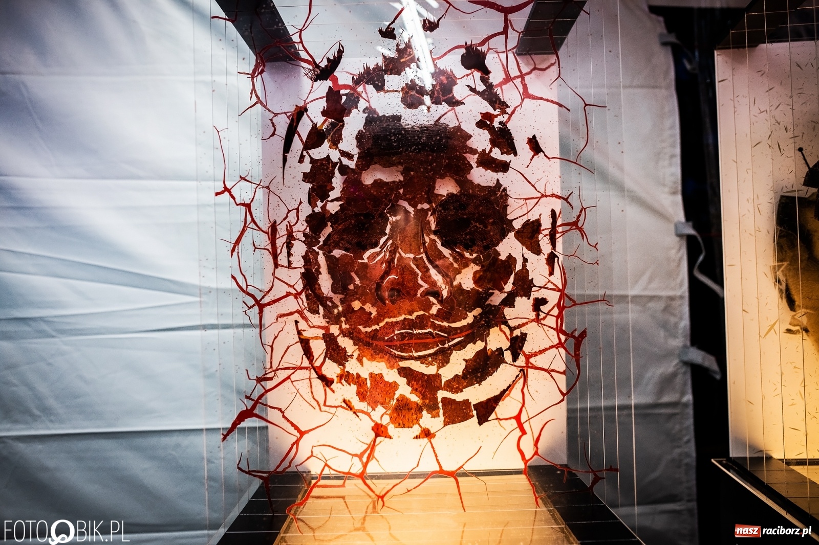 Zdjęcie w galerii na portalu naszraciborz.pl: Magia dźwięków i świateł. INTRO Festival 2019 wiadomości z regionu