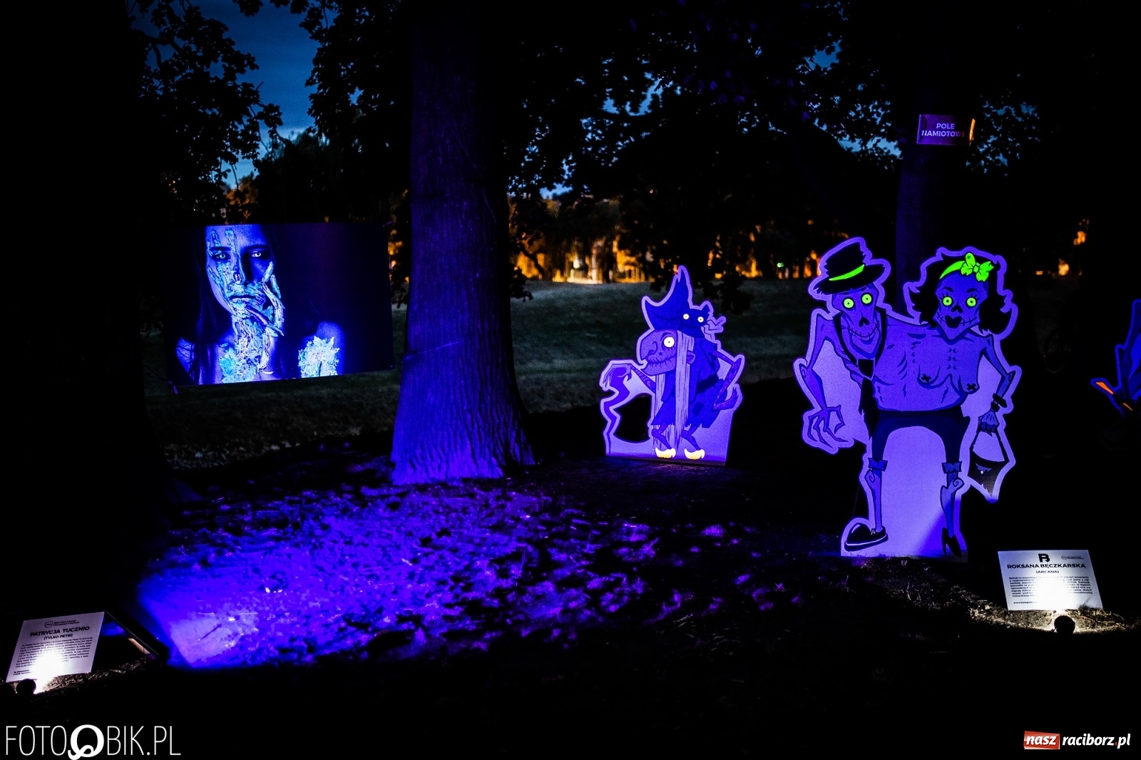 Zdjęcie w galerii na portalu naszraciborz.pl: Magia dźwięków i świateł. INTRO Festival 2019 wiadomości z regionu