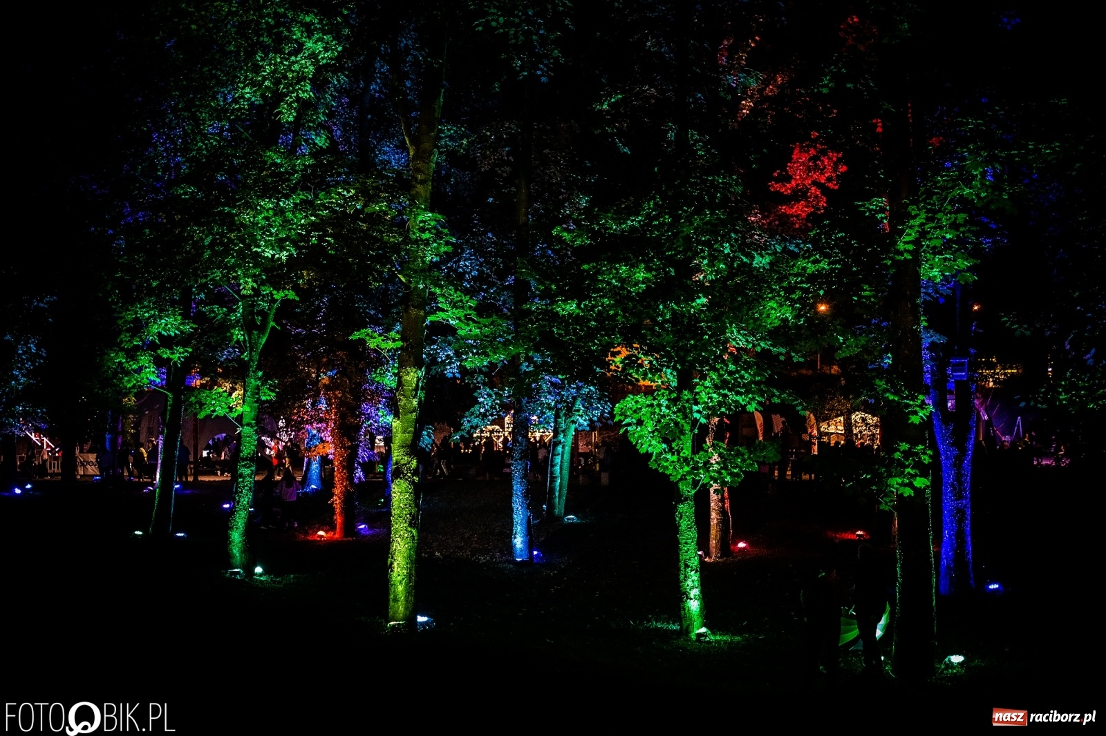 Zdjęcie w galerii na portalu naszraciborz.pl: Magia dźwięków i świateł. INTRO Festival 2019 wiadomości z regionu