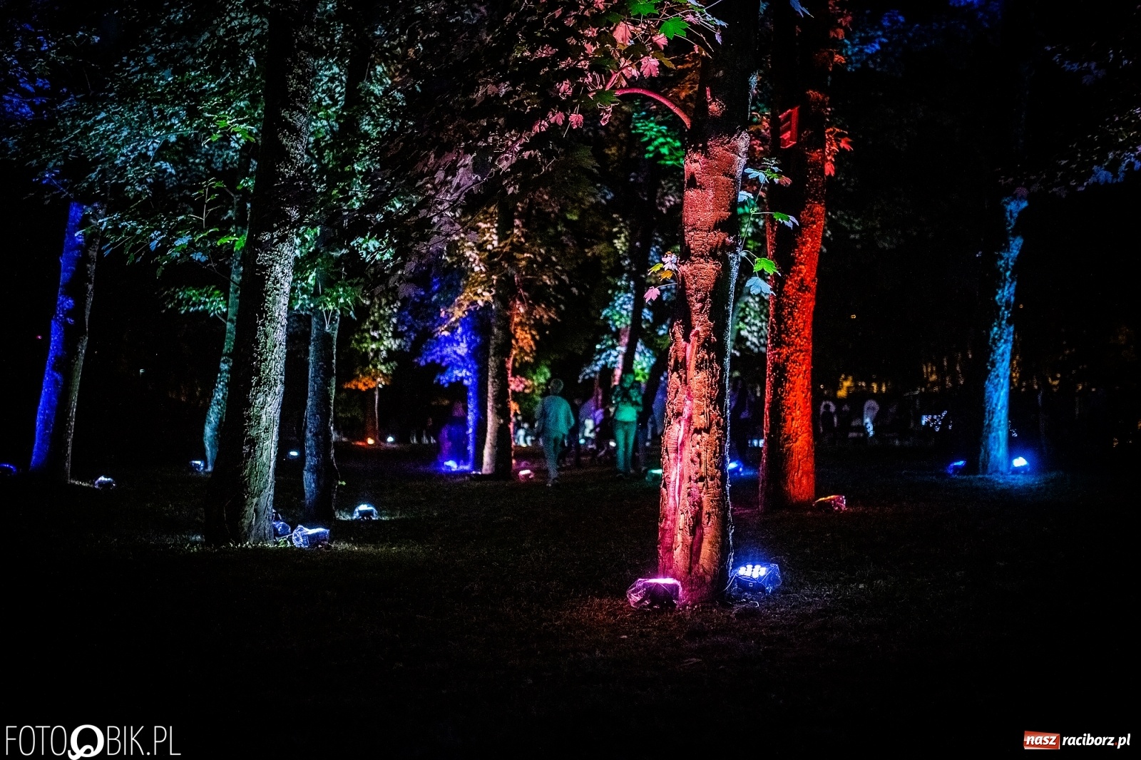 Zdjęcie w galerii na portalu naszraciborz.pl: Magia dźwięków i świateł. INTRO Festival 2019 wiadomości z regionu