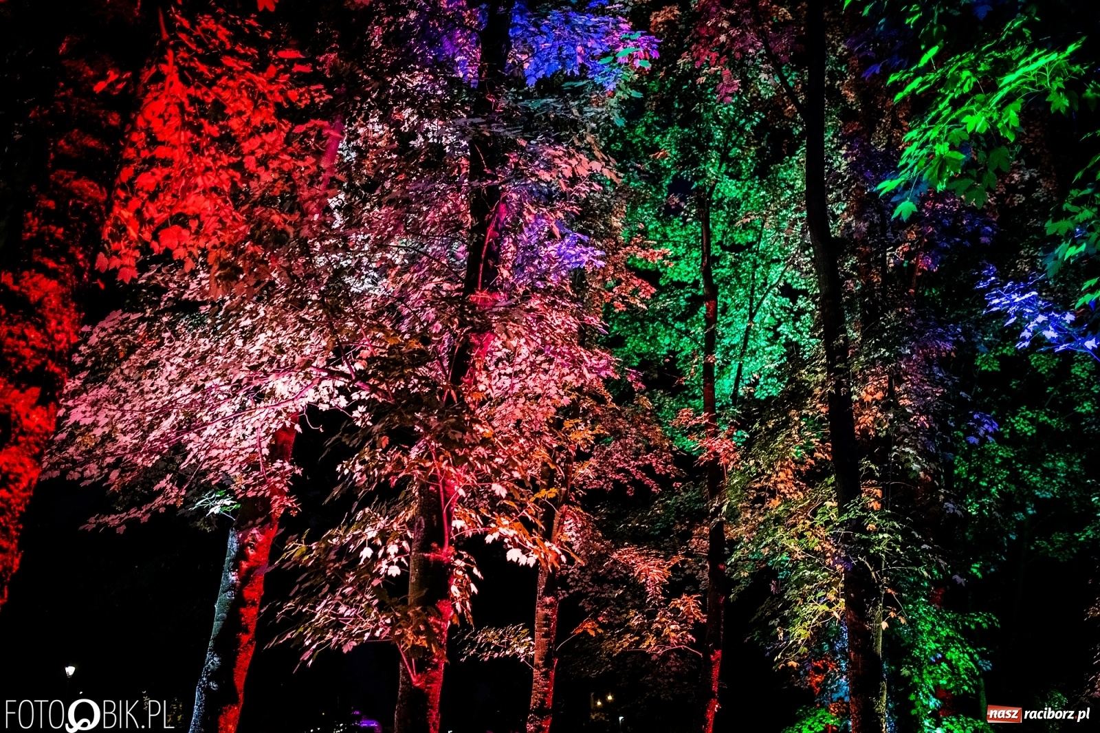 Zdjęcie w galerii na portalu naszraciborz.pl: Magia dźwięków i świateł. INTRO Festival 2019 wiadomości z regionu