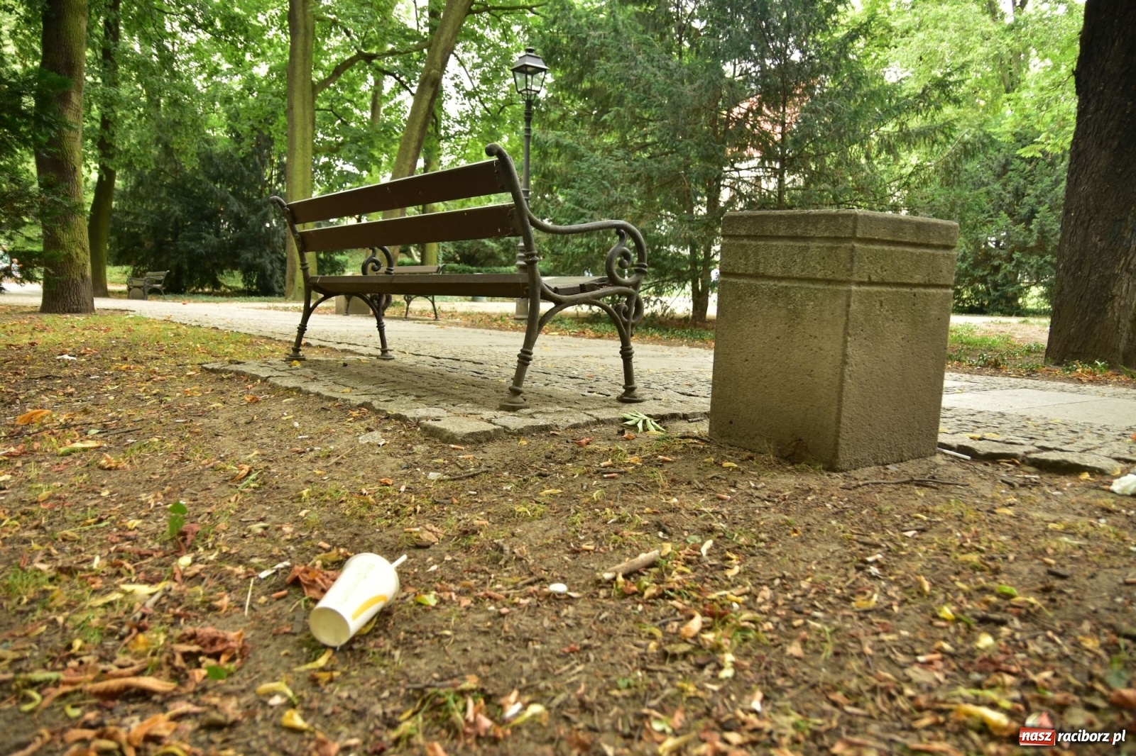 Zdjęcie w galerii na portalu naszraciborz.pl: Uwolnić bulwary dla raciborzan, czyli z butelką piwa albo wina nad Odrę? SONDA wiadomości z regionu